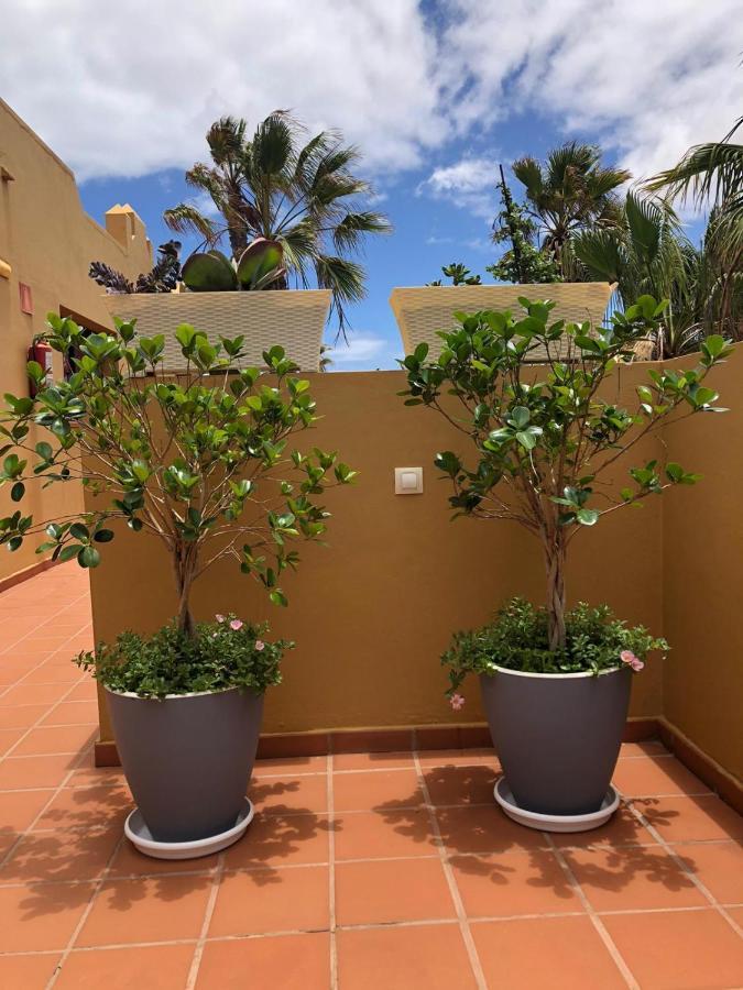 Апартаменты Casa Molly Коральео Экстерьер фото